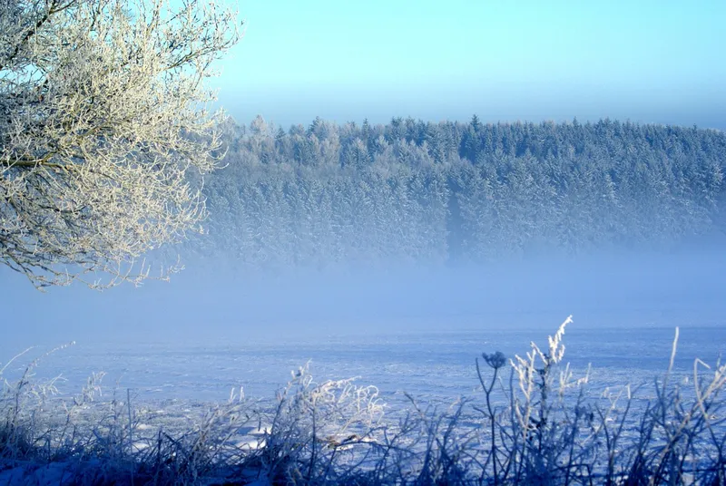 ISA 계좌: 개인종합자산관리계좌의 개념과 장점 설명