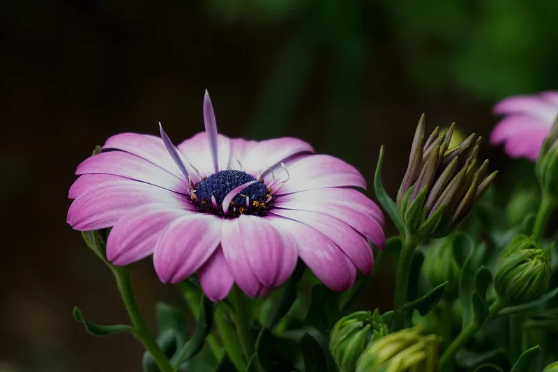 가을 단풍으로 물든 화담숲의 아름다운 풍경