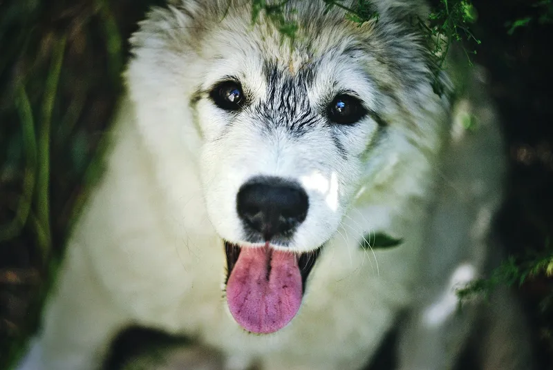 쿠팡 카드 삭제와 와우 멤버십 관련 정보 이미지